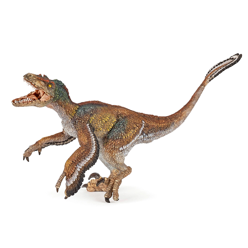 ���� ���� �ǱԾ� ���д޸� ����_55055